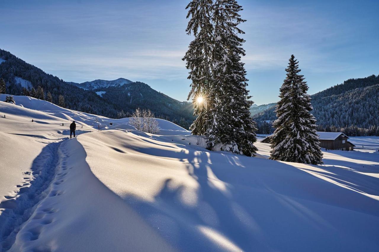 Hubertus Mountain Refugio Allgaeu Balderschwang Εξωτερικό φωτογραφία