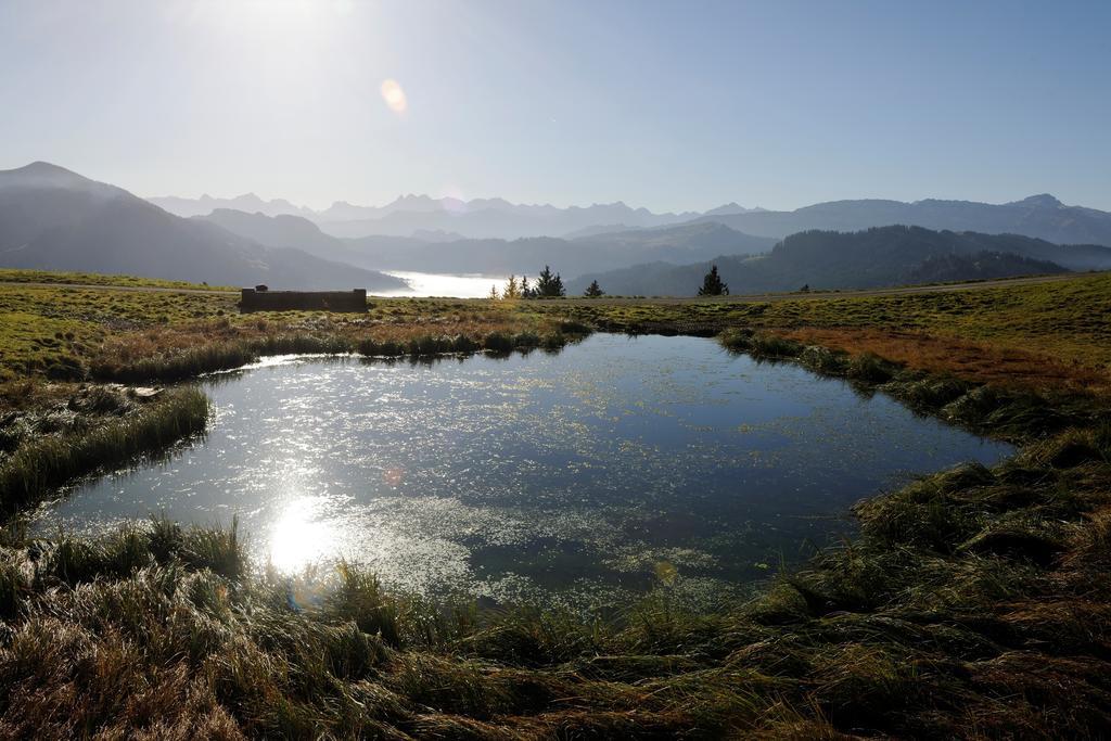 Hubertus Mountain Refugio Allgaeu Balderschwang Εξωτερικό φωτογραφία